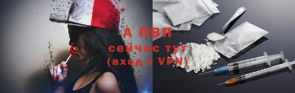 ГАЛЛЮЦИНОГЕННЫЕ ГРИБЫ Костерёво